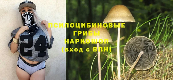 мескалин Гусиноозёрск