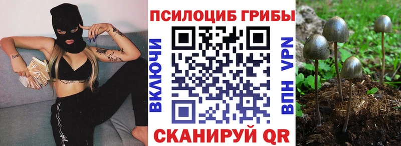 Галлюциногенные грибы мицелий  Железноводск 